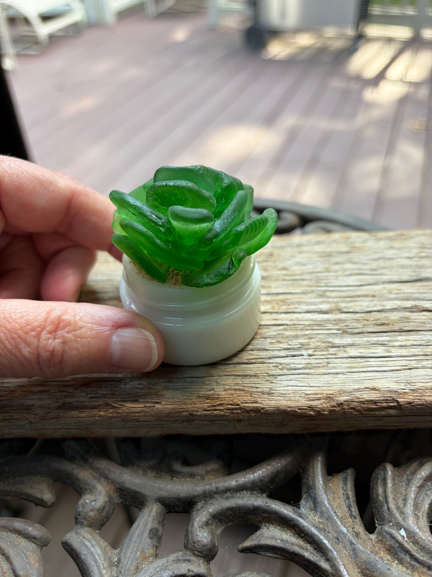 Sea Glass Succulent - Green (221)