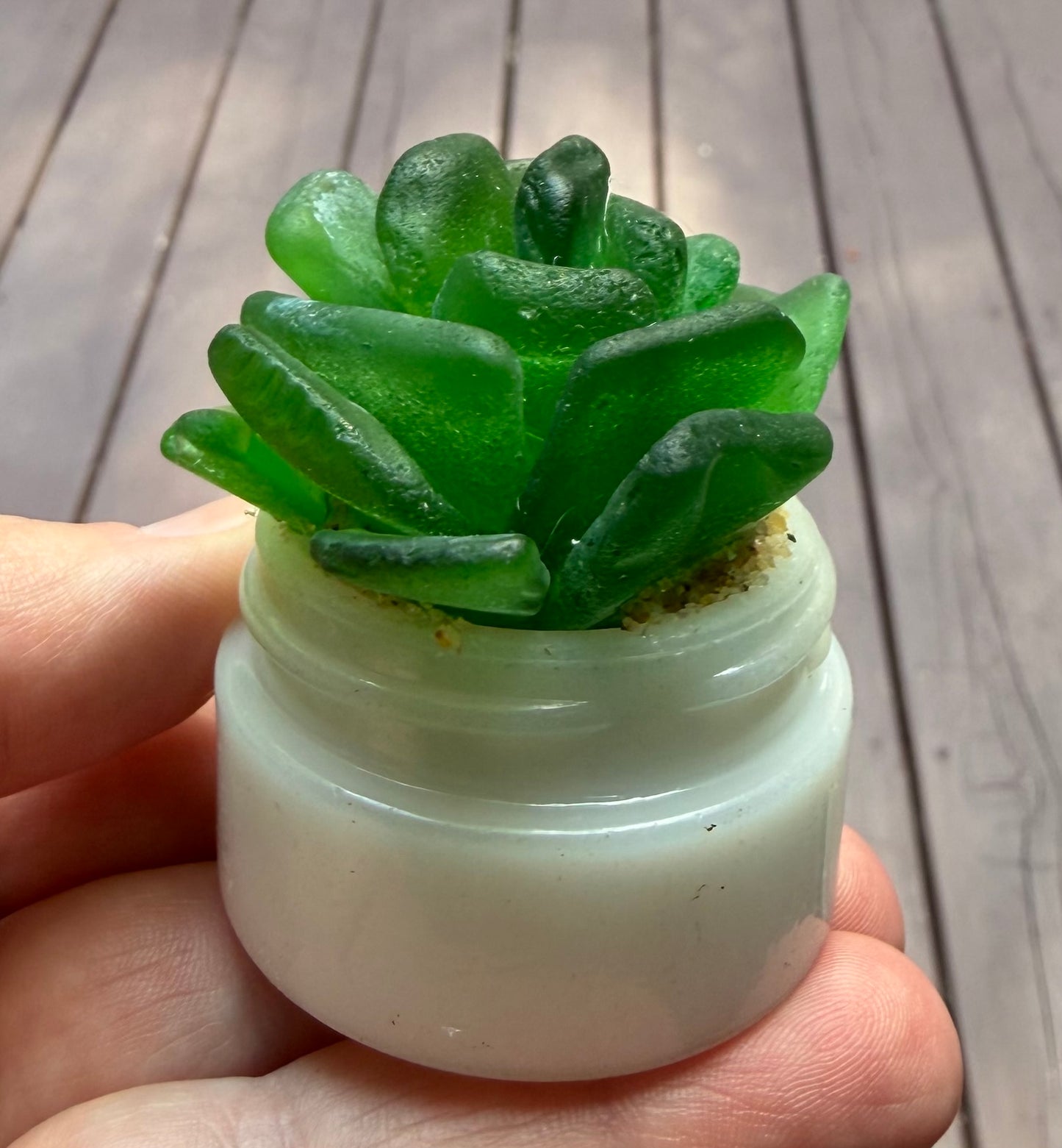 Sea Glass Succulent - Green (221)