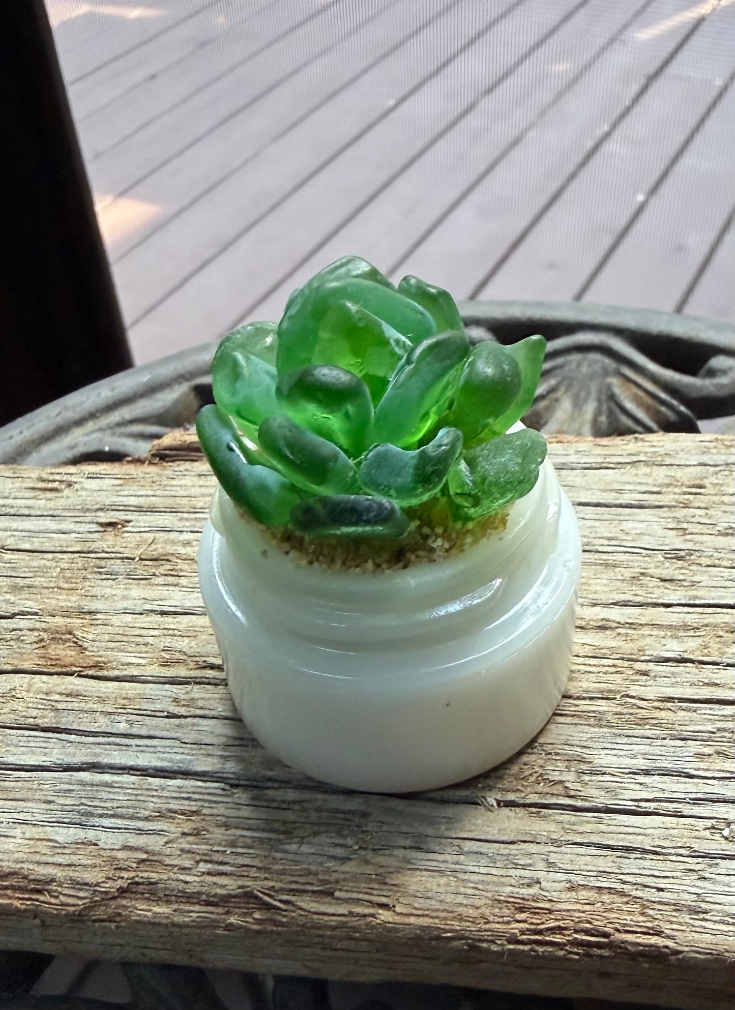 Sea Glass Succulent - Green (223)