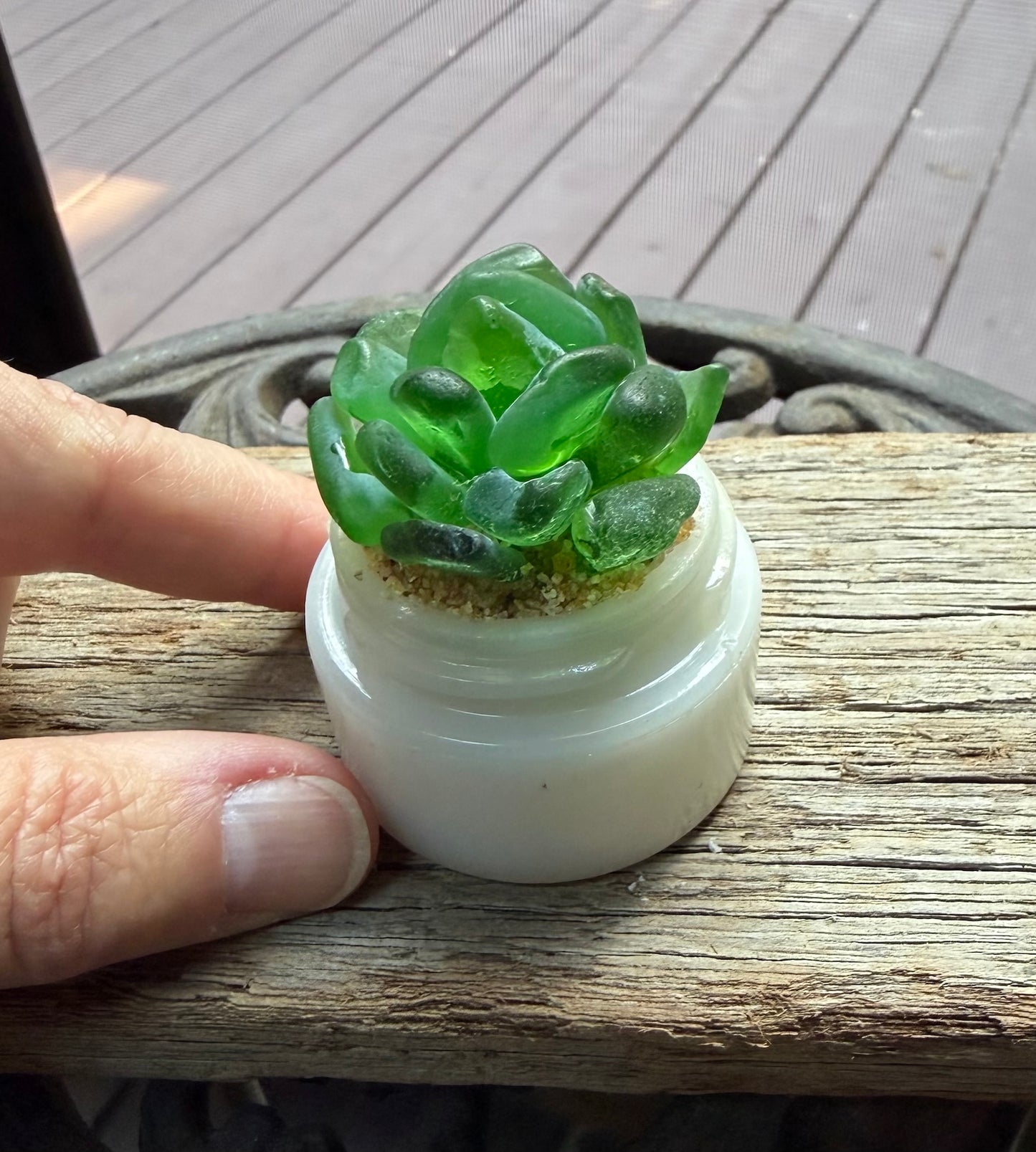 Sea Glass Succulent - Green (223)