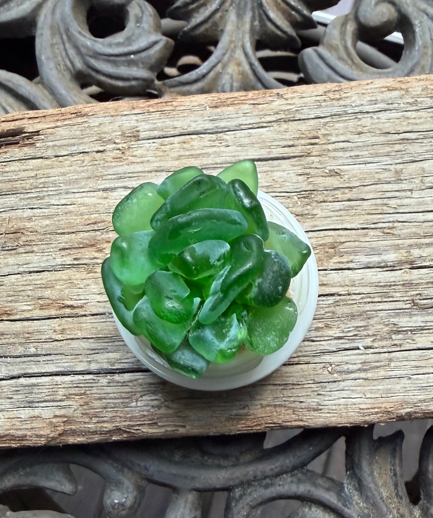 Sea Glass Succulent - Green (223)
