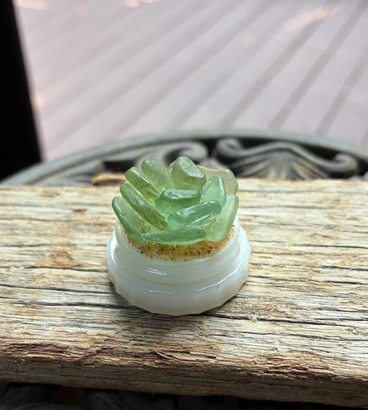 Sea Glass Succulent - Sage Green (222)