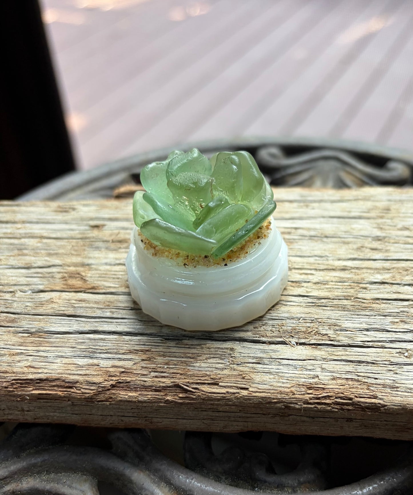 Sea Glass Succulent - Sage Green (222)