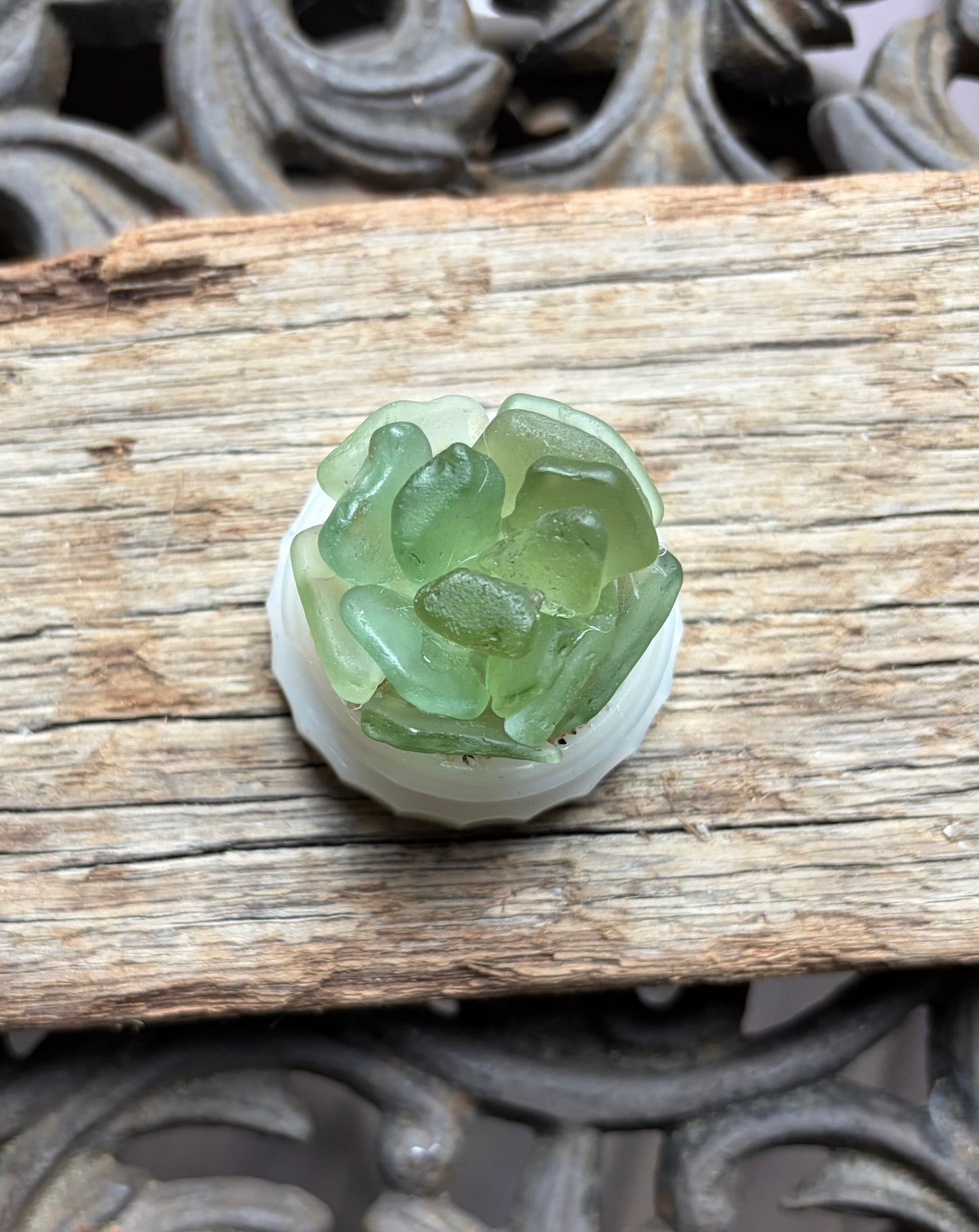 Sea Glass Succulent - Sage Green (222)