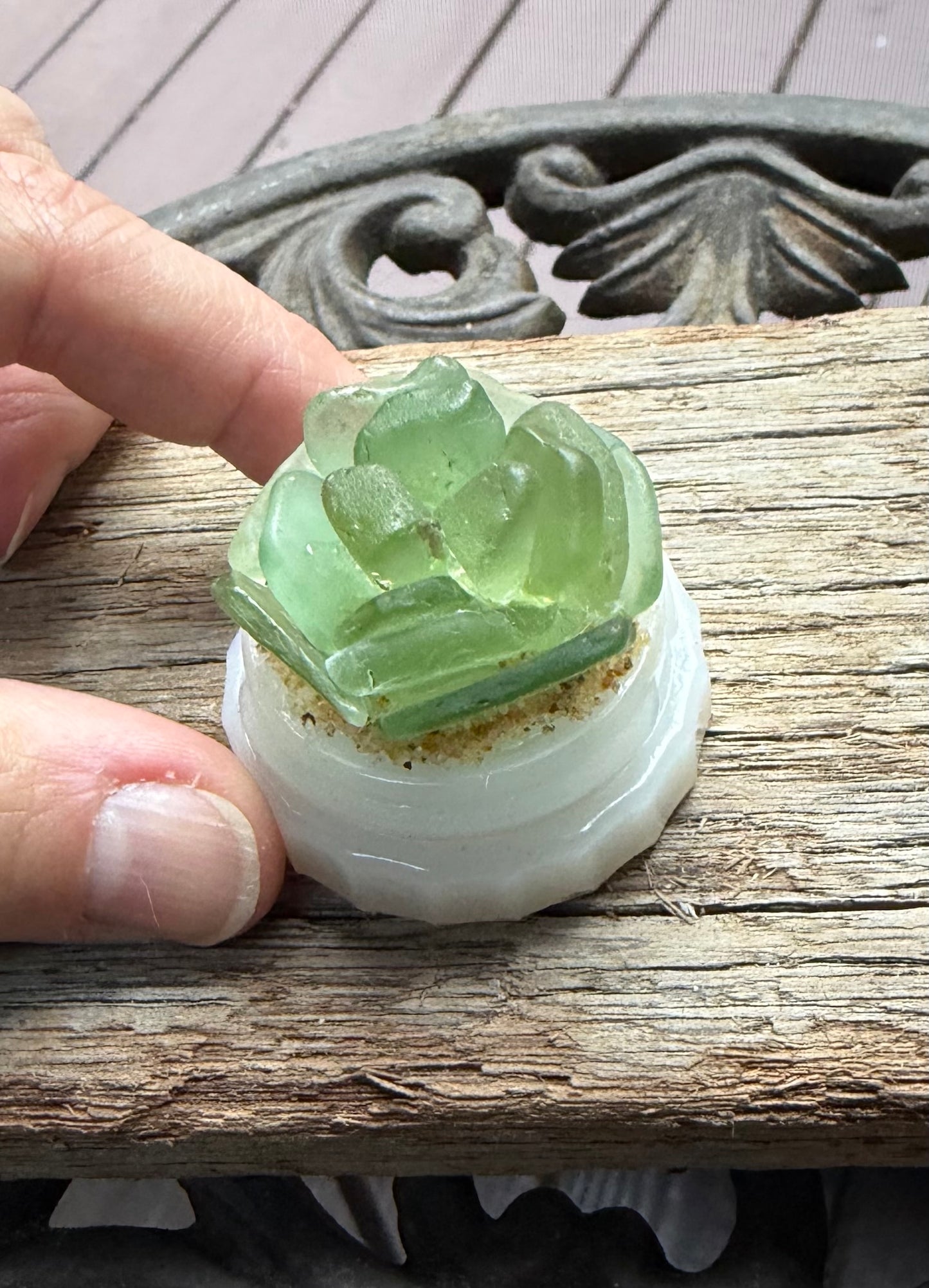 Sea Glass Succulent - Sage Green (222)