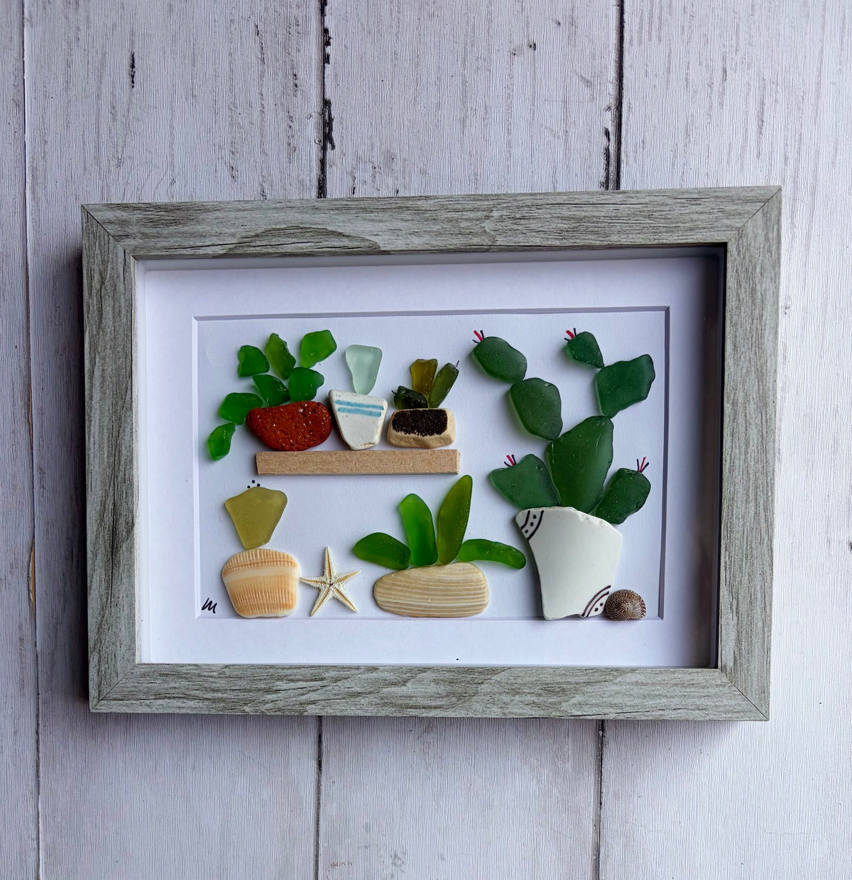 Plants & Cacti