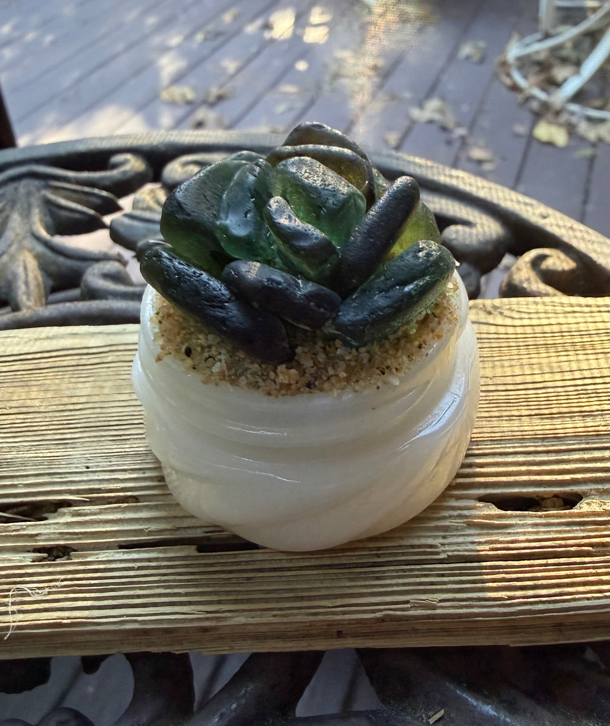 Sea Glass Succulent - Dark Green (250)