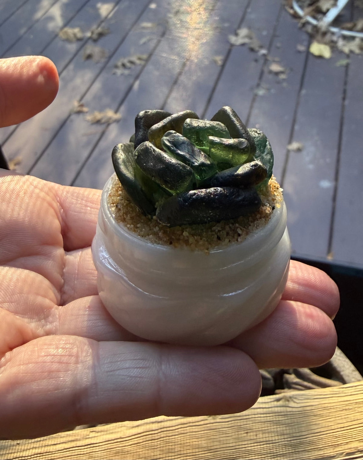 Sea Glass Succulent - Dark Green (250)