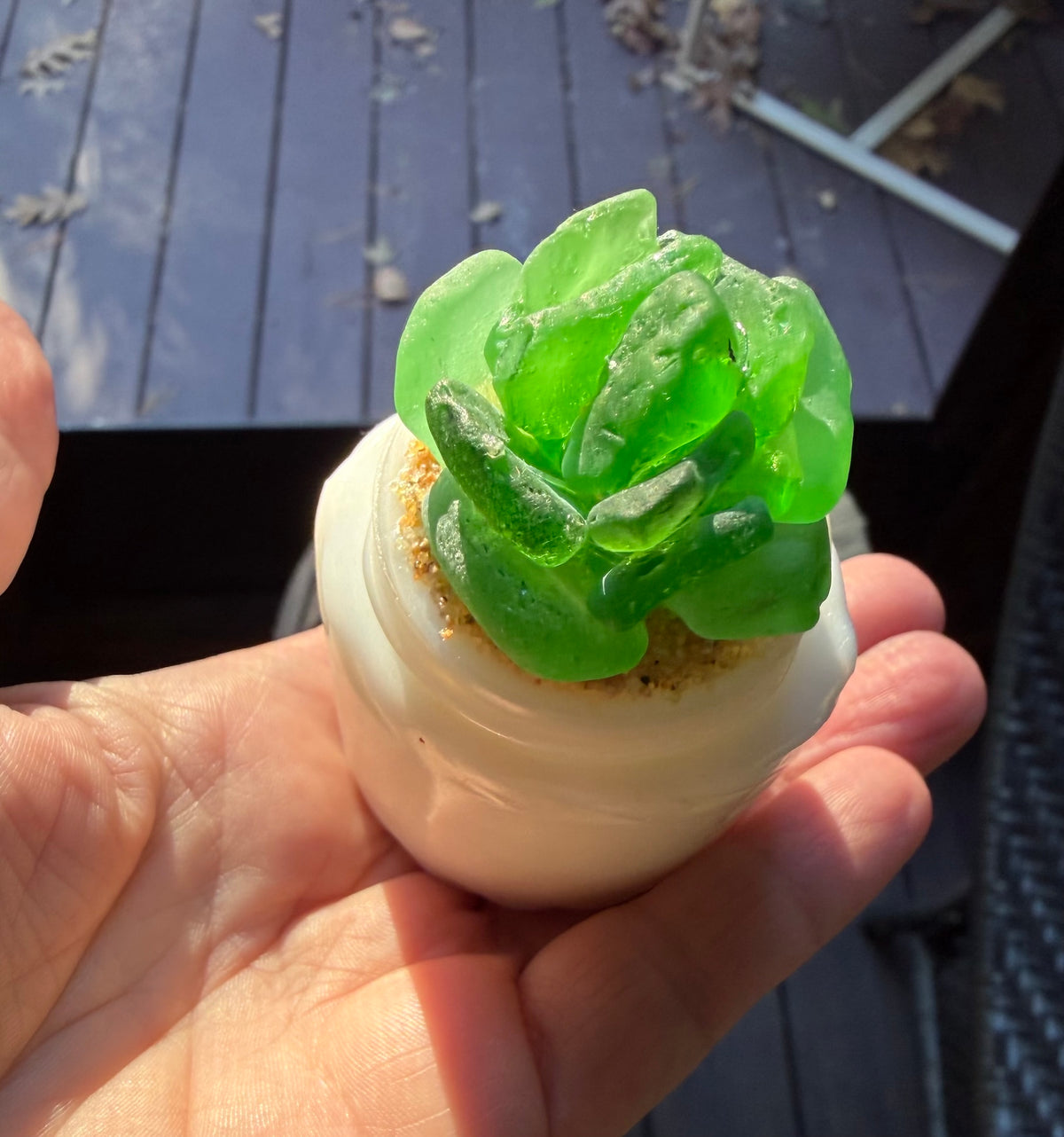 Sea Glass Succulent - Green (252)