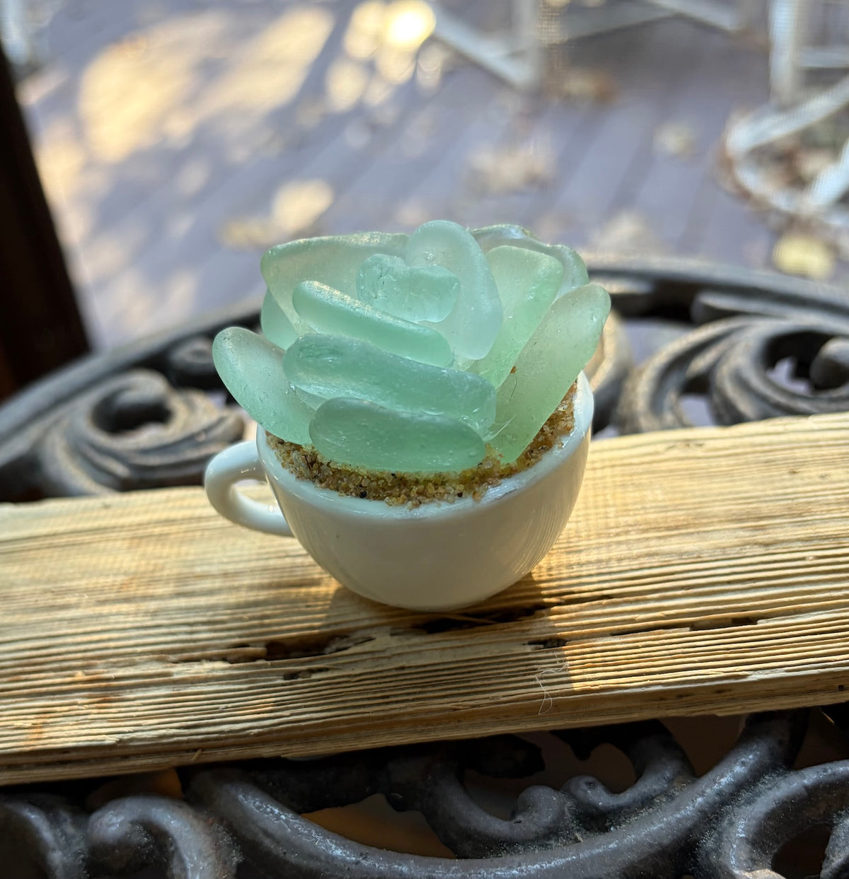 Sea Glass Succulent - Sea Foam (246)