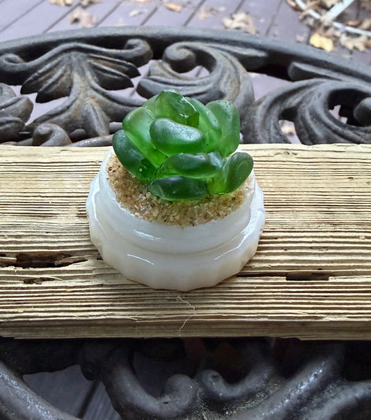 Mini Sea Glass Succulent - Green (173)