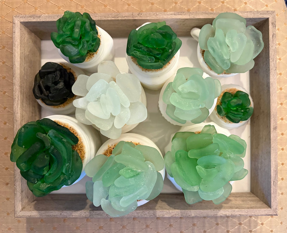 Sea Glass Succulent - Cool White (251)