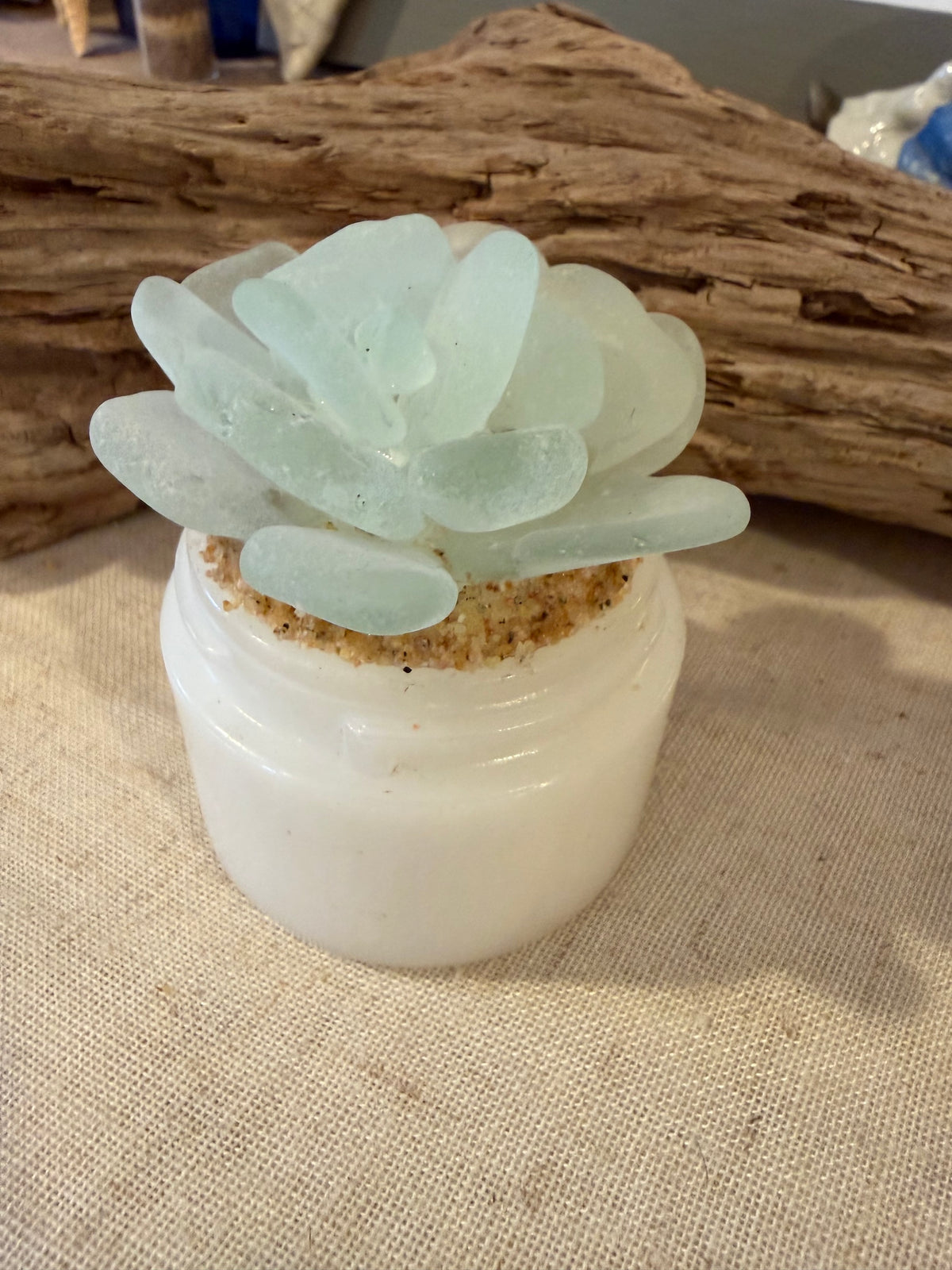 Sea Glass Succulent - Cool White (251)