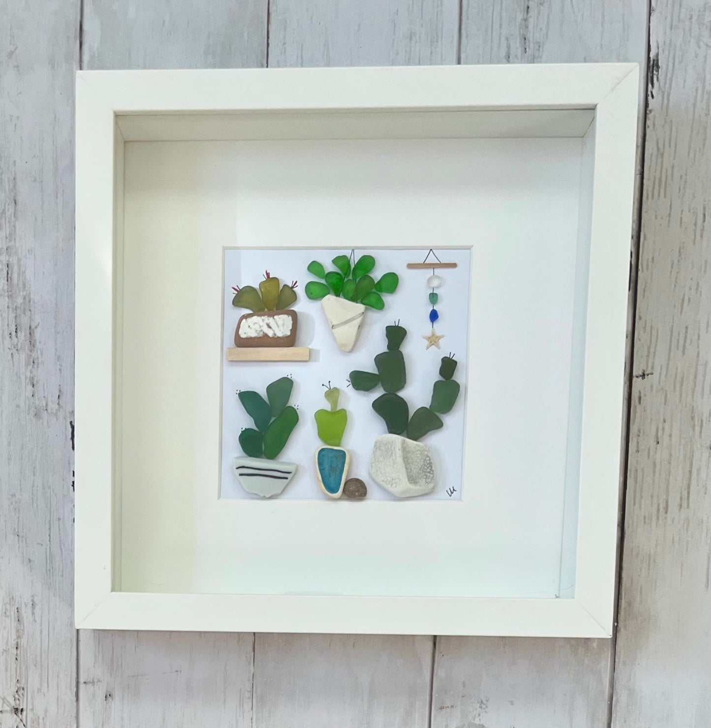 Plants & Cacti