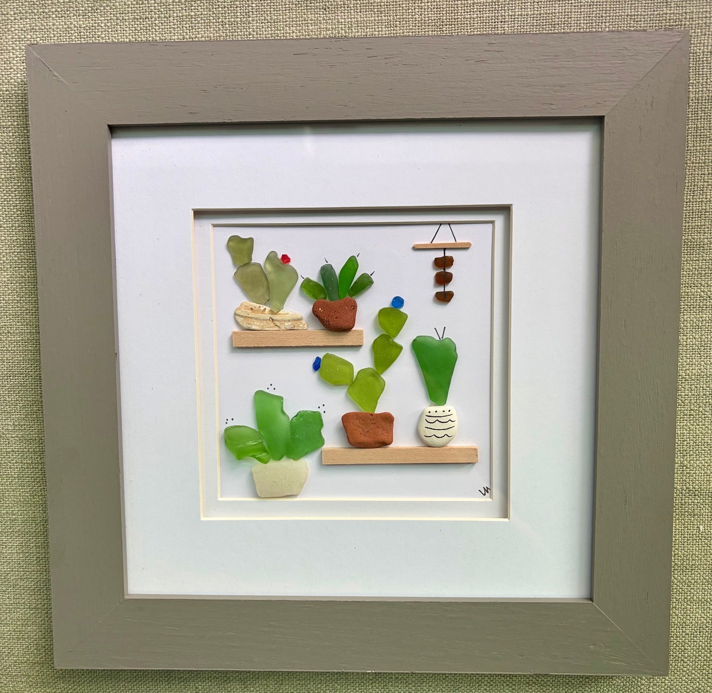 Plants & Cacti
