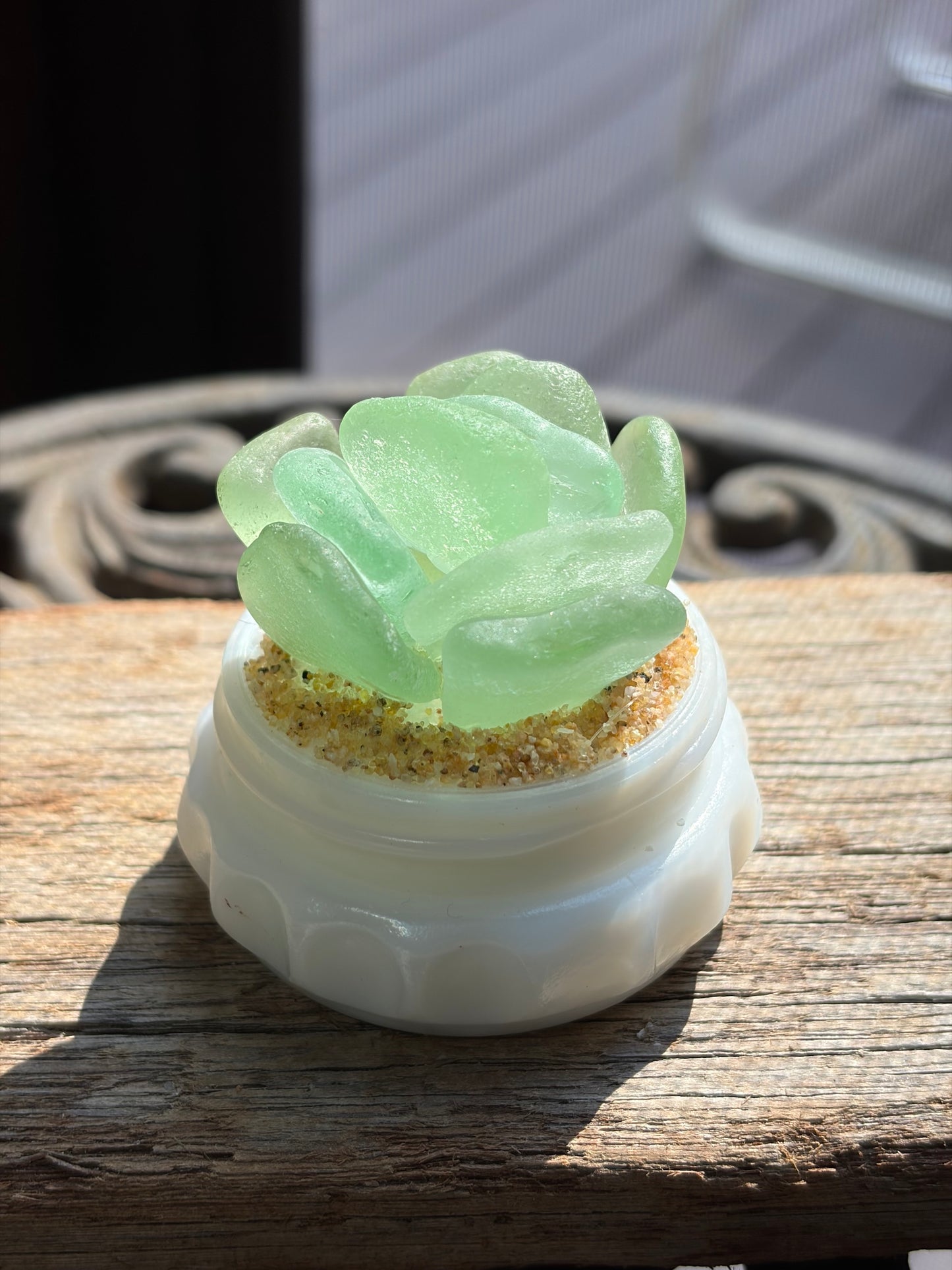 Sea Glass Succulent - Sea foam (206)