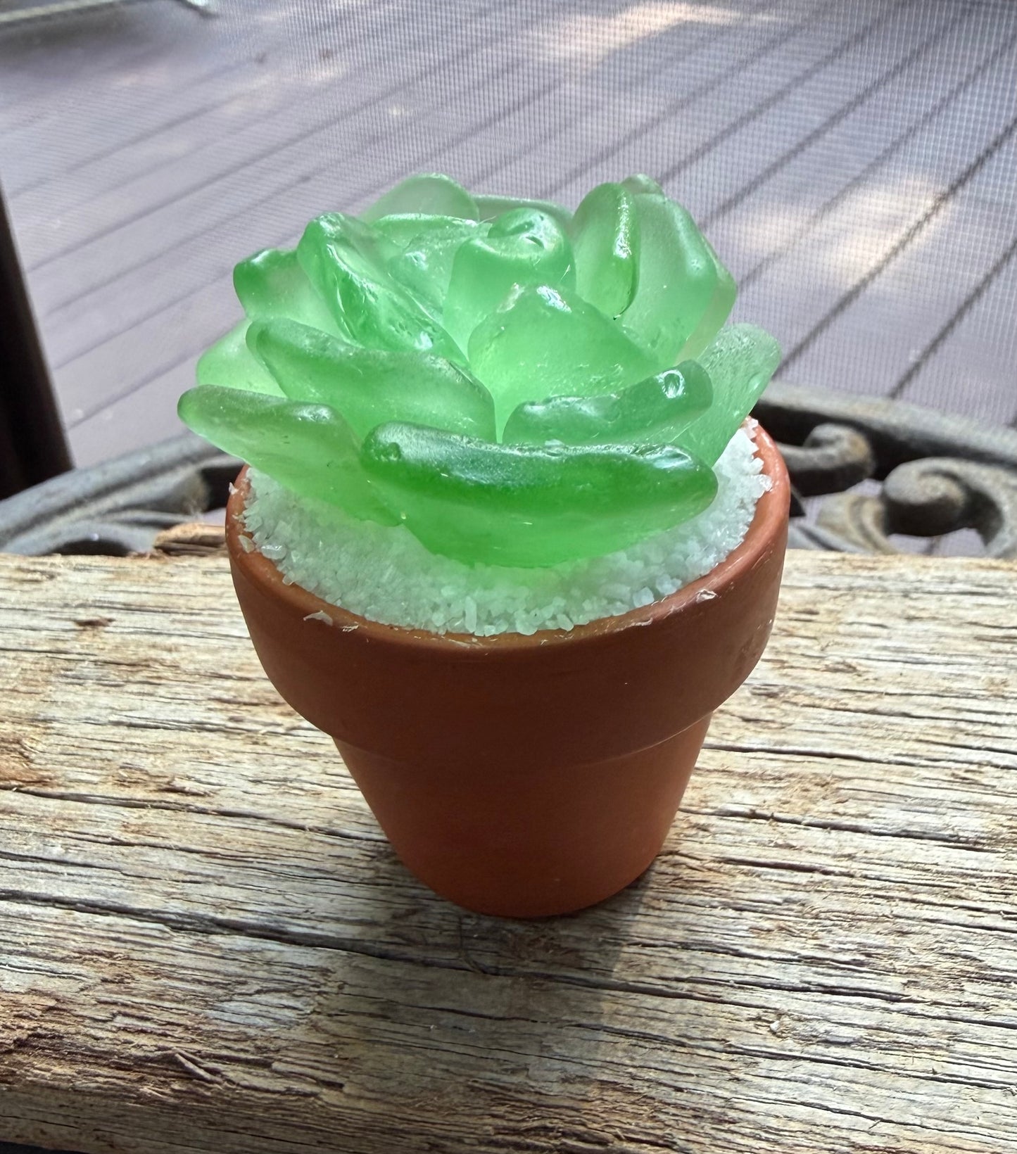 Sea Glass Succulent - Sea Foam (207)