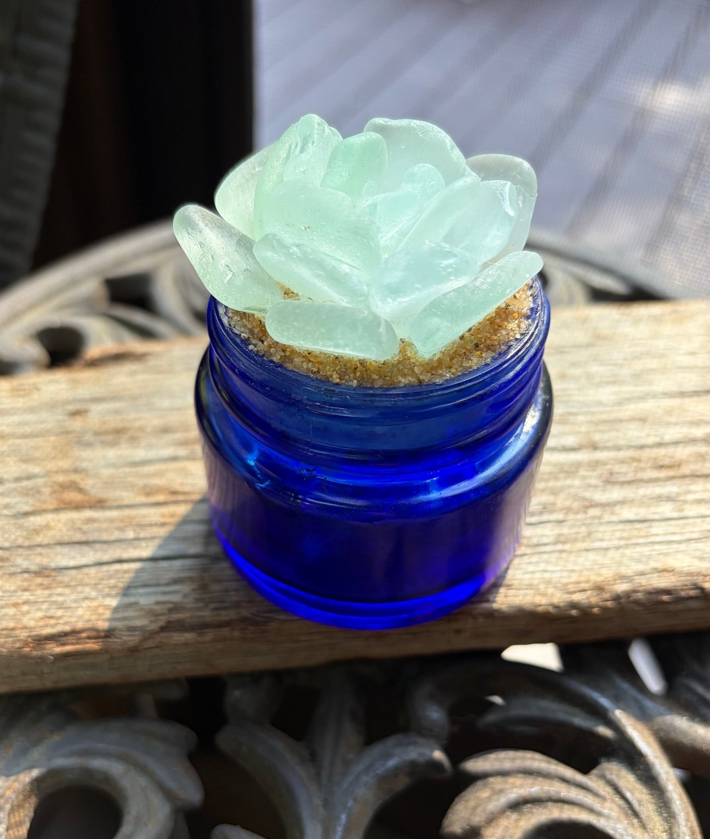 Sea Glass Succulent - Pale Blue (208)