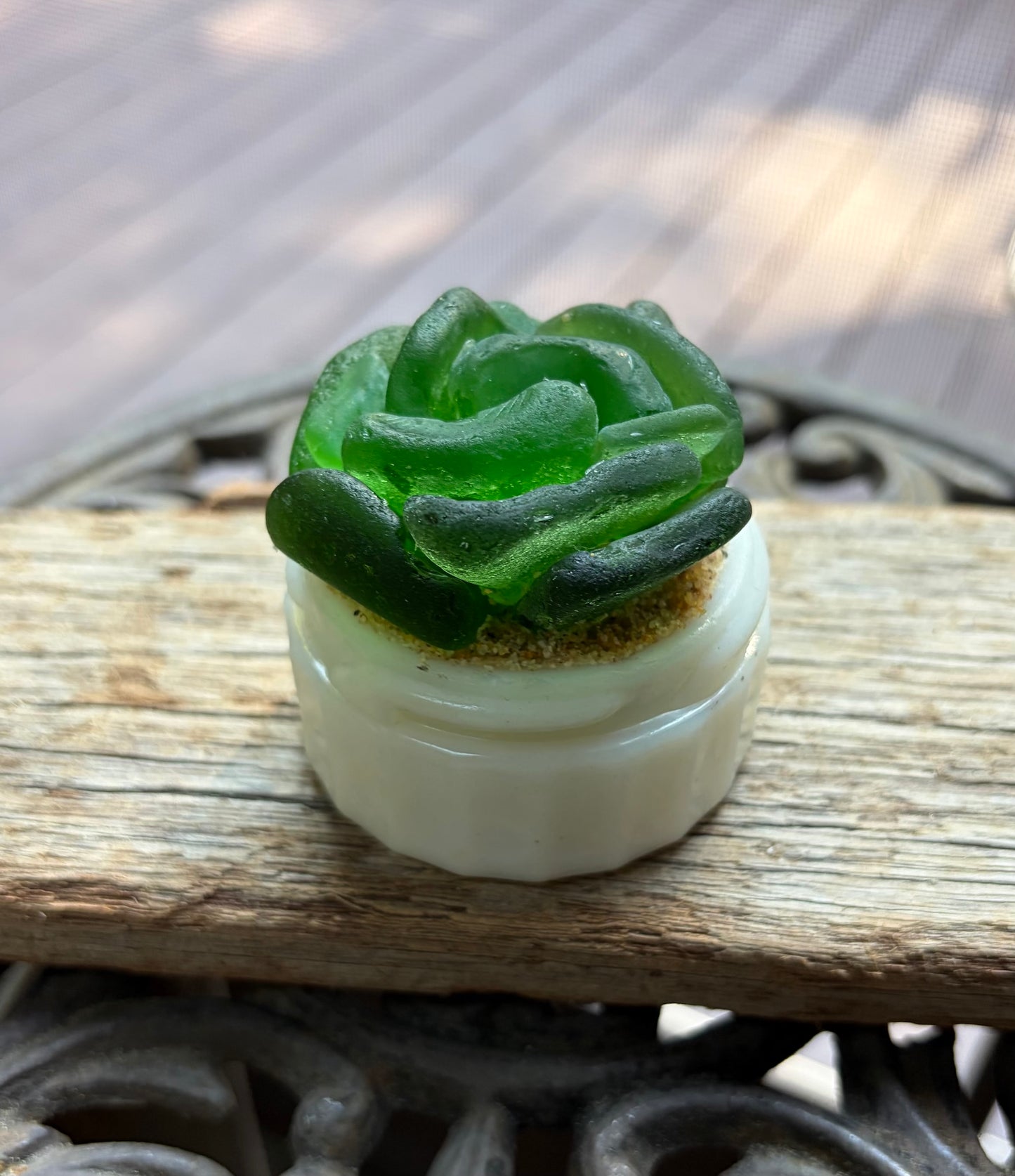 Sea Glass Succulent - Green (209)