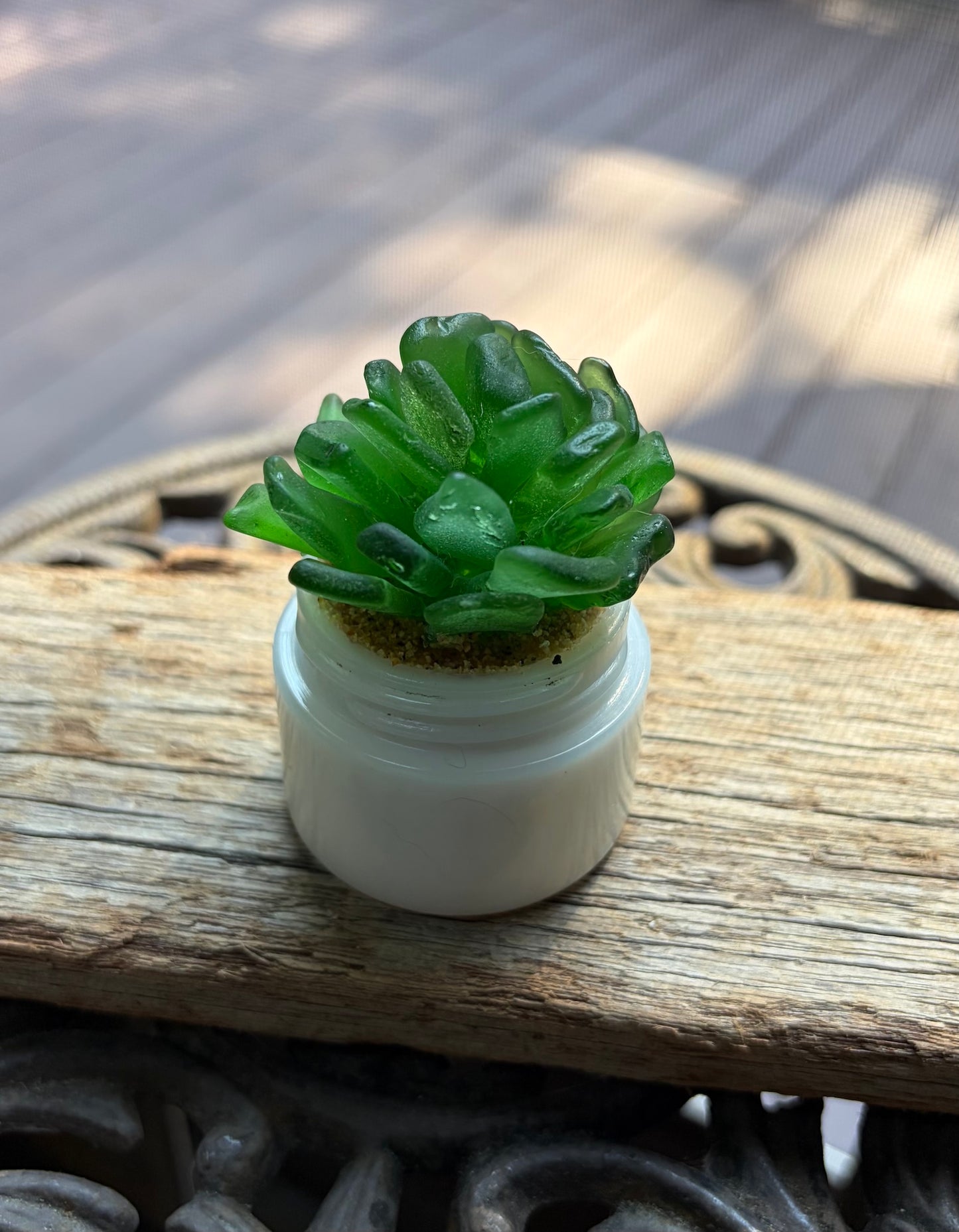 Sea Glass Succulent - Green (210)