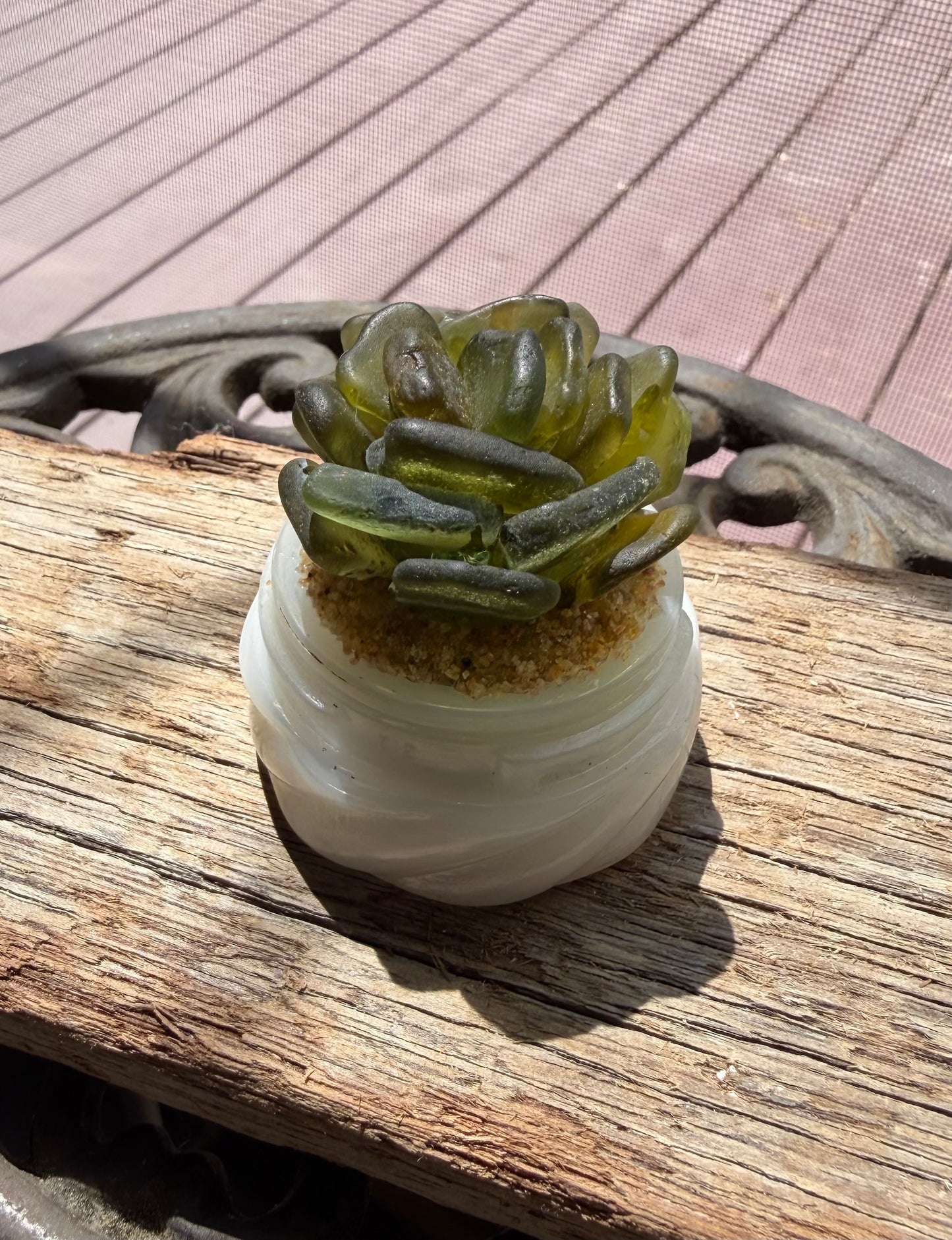 Sea Glass Succulent - Olive Green (213)