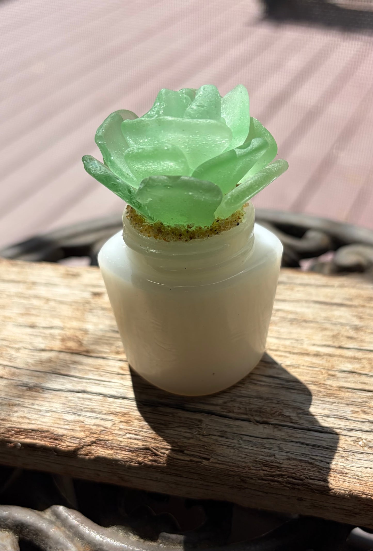 Sea Glass Succulent - Sea foam (220)