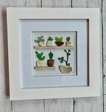 Load image into Gallery viewer, Succulents &amp; Cacti
