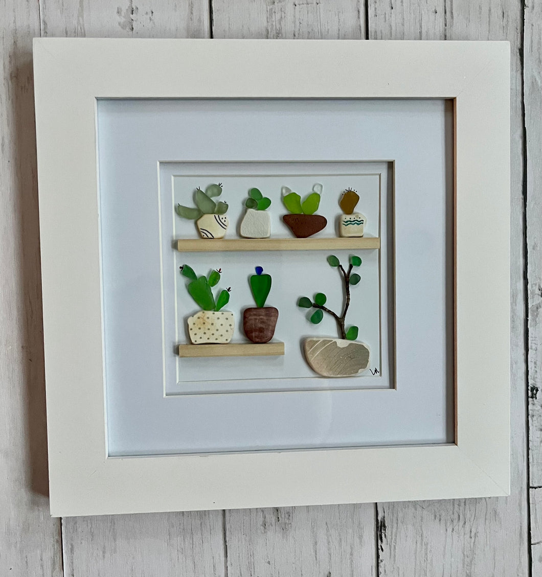 Succulents & Cacti
